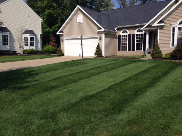 lawn, lawn care, gallery of recent work, mowing, trim