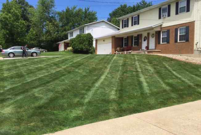 gallery of recent work, gallery, lawn, lawn mowing, mow, yard, landscaping