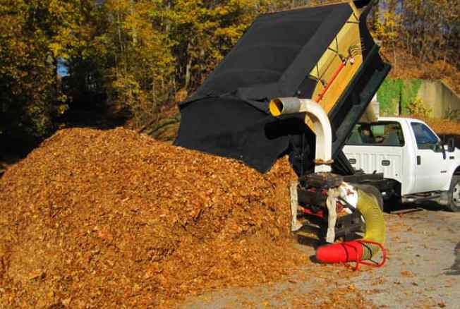 dump truck, leaves, fall clean up